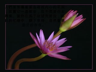 人們常常嚷著要去尋找內心的平和
，其實它一直都在，從不需要你去
尋覓。當你在爲了欲望而勞役，終
日的忙碌中，靜下來時，自然會感
    到它的存在。
 