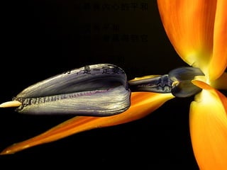 有人遠走他方，以尋覓內心的平和
       。
  但如果你心中沒有平和，
縱管跑到天涯海角也不會尋得到它
       ；
 假如你心中，早有了平和，
也就沒什麼地方，是一定要去的了。
 