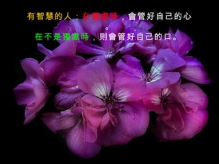 有智慧的人；在獨處時，會管好自己的心
         。
 在不是獨處時，則會管好自己的口。
 