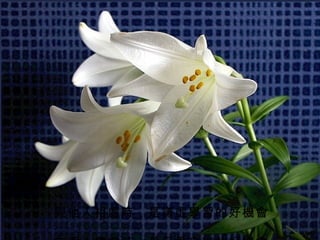 與他人相處時，是謙虛學習的好機會
       ；
 