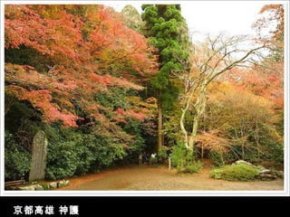 京都高雄 神護
 