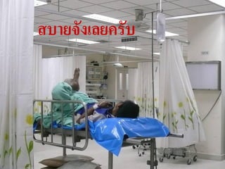 สบายจังเลยครับ




                 20
 