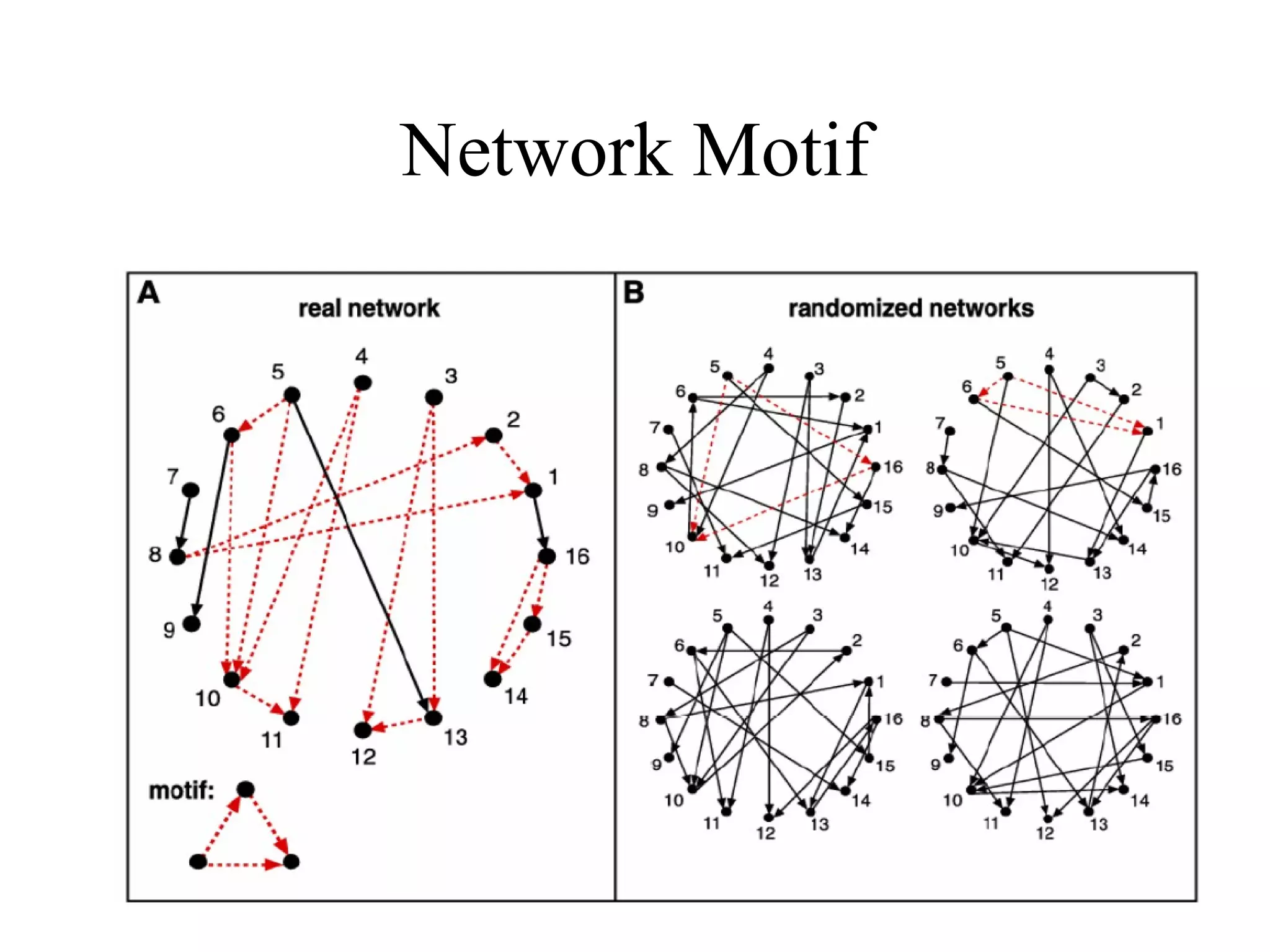 Network Motif 