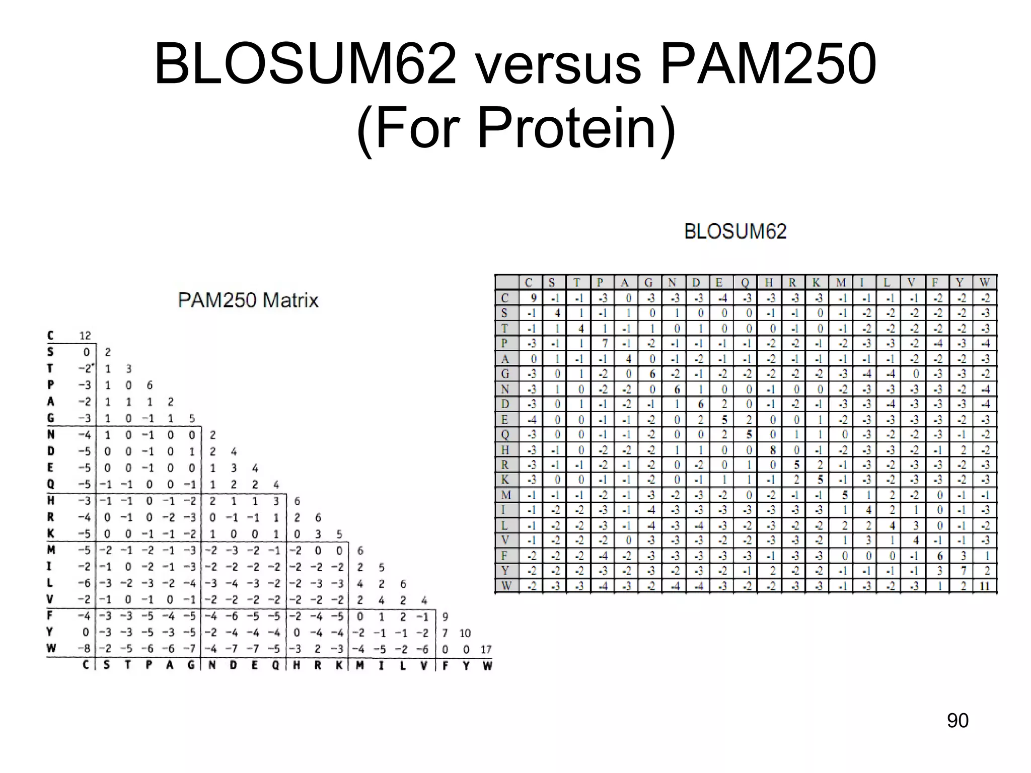 BLOSUM62 versus PAM250 (For Protein) 