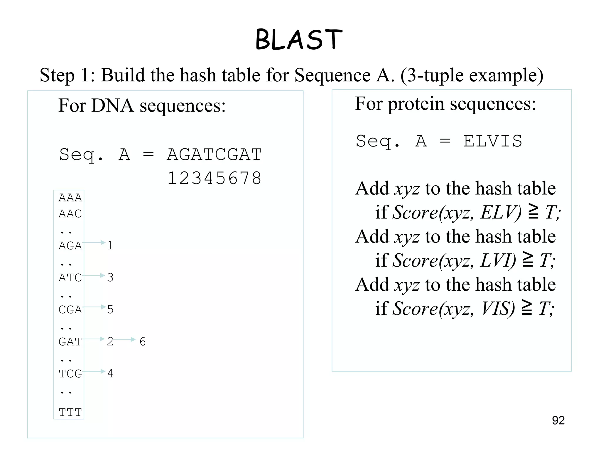 BLAST Step 1: Build the hash table for Sequence A. (3-tuple example) For DNA sequences: Seq. A = AGATCGAT   12345678 AAA AAC .. AGA  1 .. ATC  3 .. CGA  5 .. GAT  2  6 .. TCG  4 .. TTT   For protein sequences: Seq. A = ELVIS Add  xyz  to the hash table   if  Score(xyz, ELV) ≧ T; Add  xyz  to the hash table   if  Score(xyz, LVI) ≧ T; Add  xyz  to the hash table   if  Score(xyz, VIS) ≧ T; 