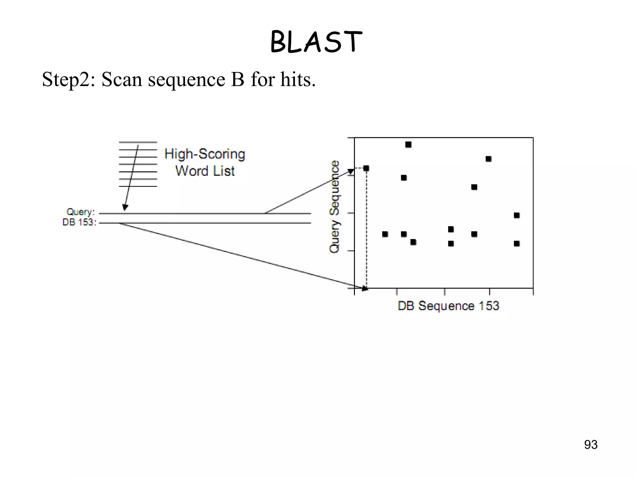 BLAST Step2: Scan sequence B for hits. 