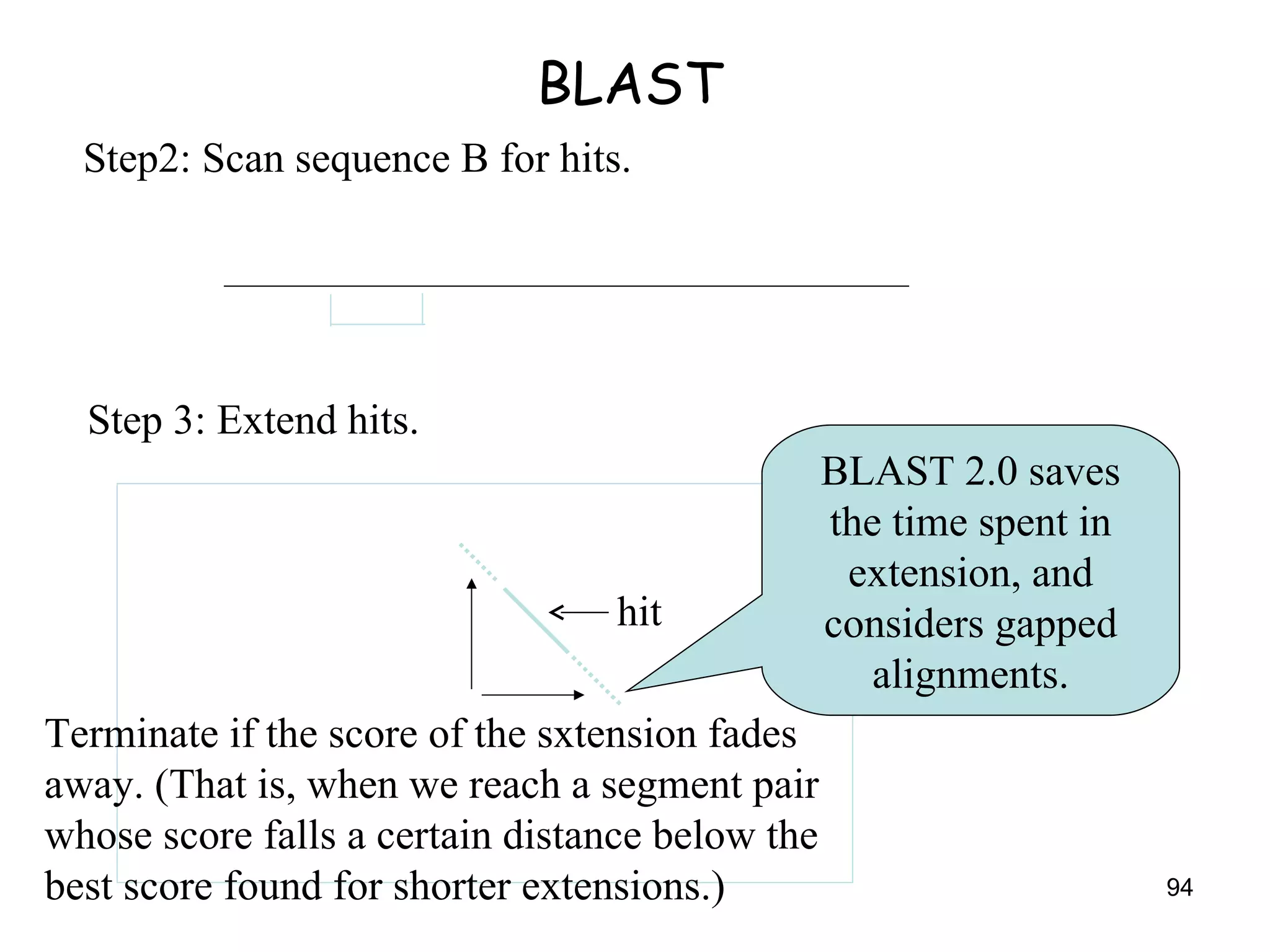 BLAST Step2: Scan sequence B for hits. Step 3: Extend hits. hit Terminate if the score of the sxtension fades away. (That is, when we reach a segment pair whose score falls a certain distance below the best score found for shorter extensions.) BLAST 2.0 saves the time spent in extension, and considers gapped alignments. 