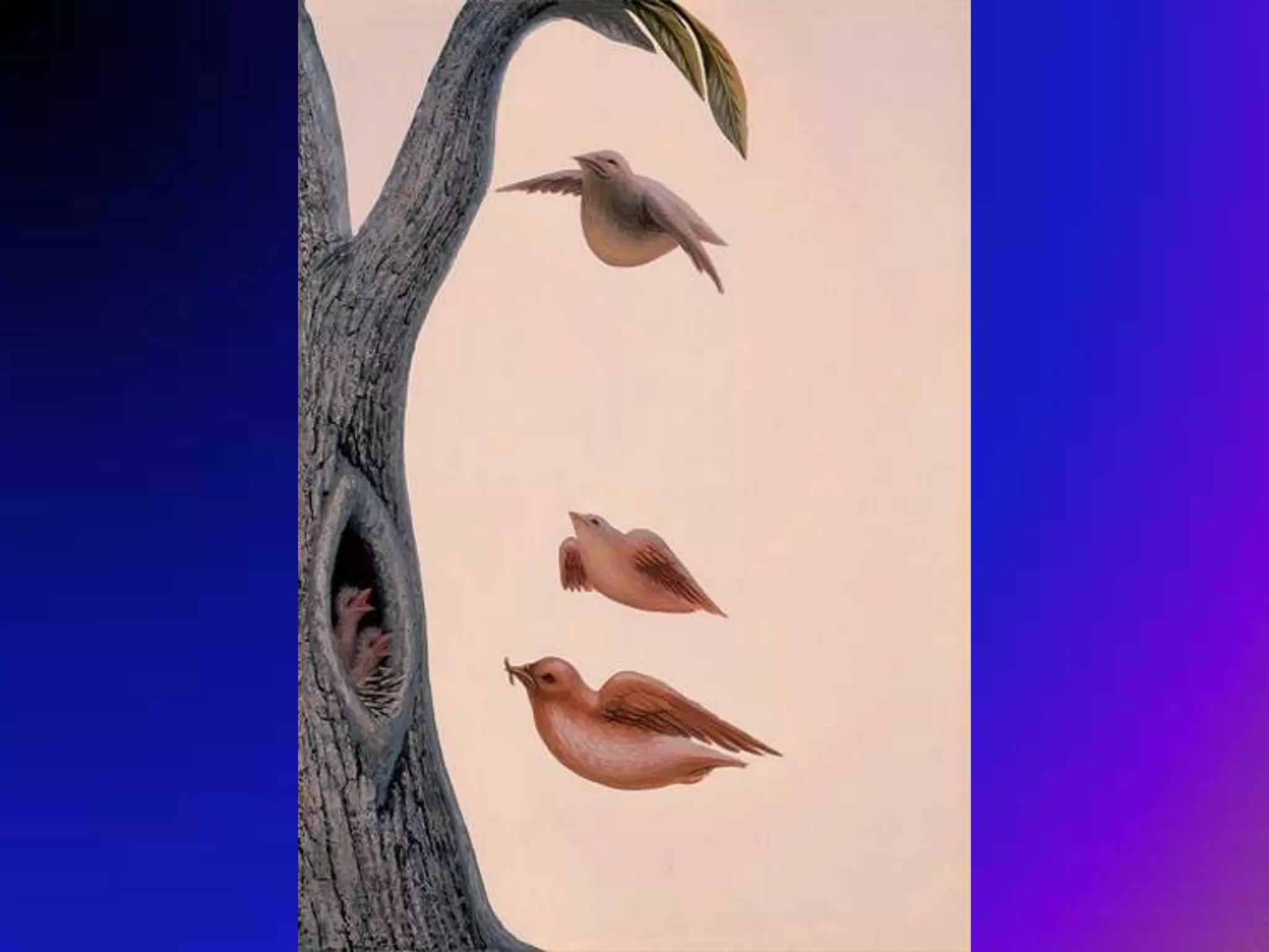 사명 ,  꿈 ,  비전 ,  가치 