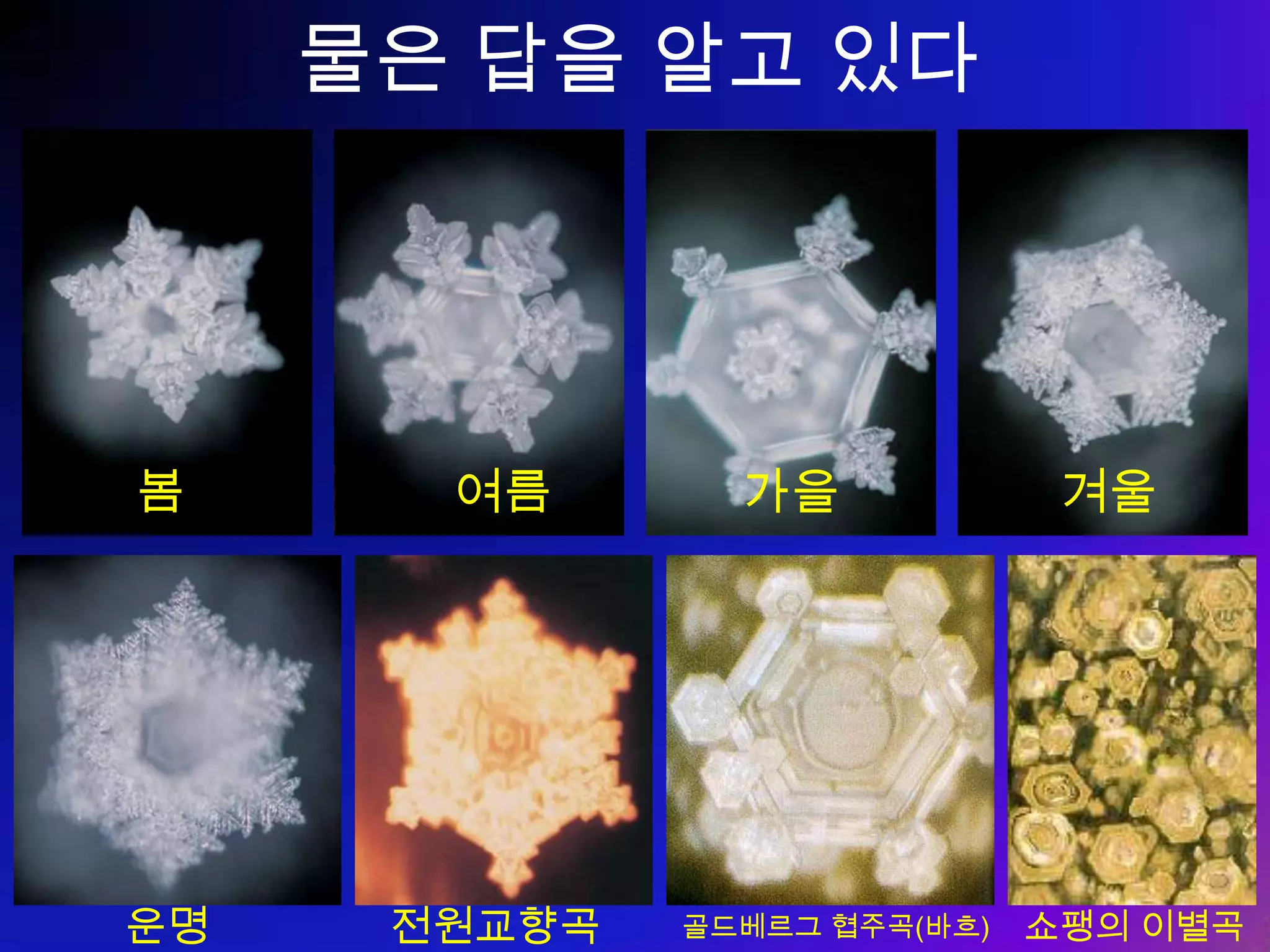 탁월성의 이면 약점 기질 / 성향 강점 일만 벌린다 타인은 배려하지 않는다 주도형 주도적이다 추진력이 있다 산만하다 무슨 생각으로 살까 ? 사교형 사교성 있다 활달하다 변하지 않는다 굼뜨다 안정형 안정적이다 사람을 편하게 해준다 비판적이다 부정적이다 신중형 분석적이다 치밀하다 