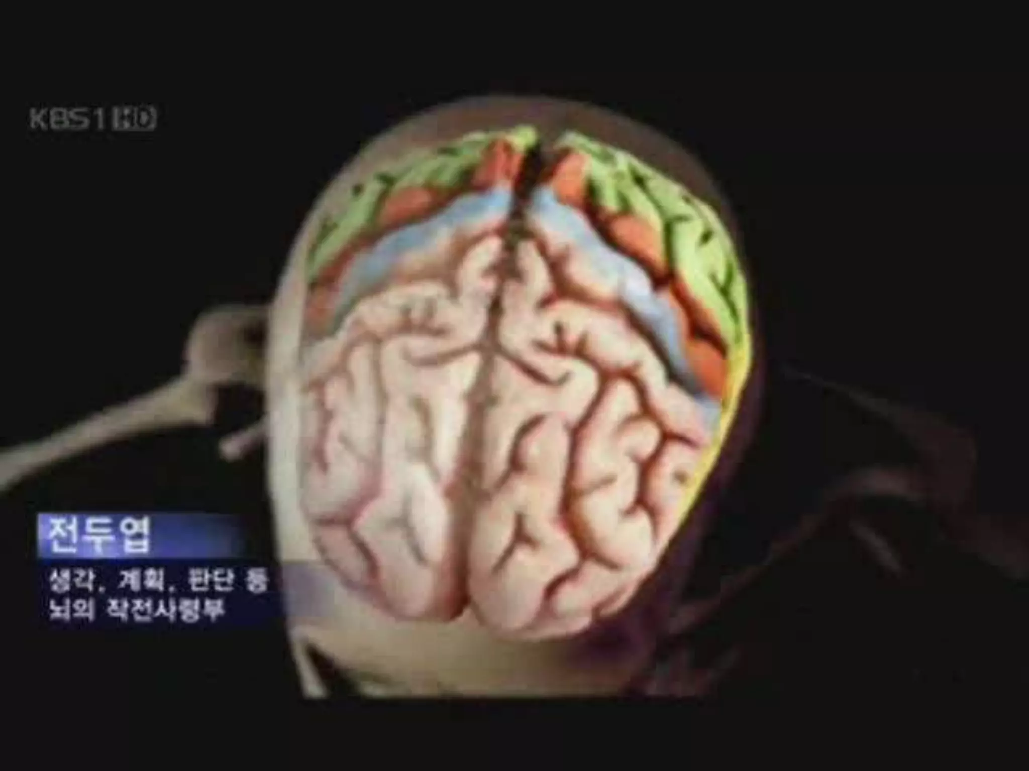 전문 분야 및 주요 이력   자기계발   :  사명 / 비전수립 ,  목표설계 ,  시간관리   커리어코칭 :  전직 ,  강점과 재능 발견  ( SERI  커리어포럼 부시삽 ) 라이프코칭 :  커뮤니케이션 ,  감정 / 의식 머니코칭   :  부자마인드 ,  재무전략 수립 ,  자산 포트폴리오 구성   '08.09 : "COEX 2008  취업박람회 "  전직컨설팅 , [ 커리어 주관 ] '08.04 : "IBK  우수기업 채용박람회 ( 부산  BEXCO)"  전직컨설팅 , [ 커리어 주관 ] 이수 교육   코칭베이직 / 코칭 클래식  [ 아시아코치센터 ]   라이프코치 양성과정  [ 한국라이프코치연합회 ]   커리어코치 전문가 과정  [ 커리어코치연합회 / 한경 ]   STRONG  직업흥미도 검사 과정   DiSC  일반 과정  [ 러너코리아 ]     / onDISC Communication [ 아시아코치센터 ]   행복한 부모되기  [ 아시아코치센터 ],  /  학습전문코치 양성과정  [ 아시아코치센터 ]   비폭력대화  [ 한국 비폭력대화 센터 ]   내생애 최고의 해  ( 일반 /FT 과정 )[ 아시아코치센터 ] 순수존재의식코칭  / PLACE 코칭 ( 기질 / 재능 / 은사 / 열정 / 경험 ) /  의식코칭  /  감정코칭   1 인기업 전문가 과정  [ 자기경영플러스 ] 