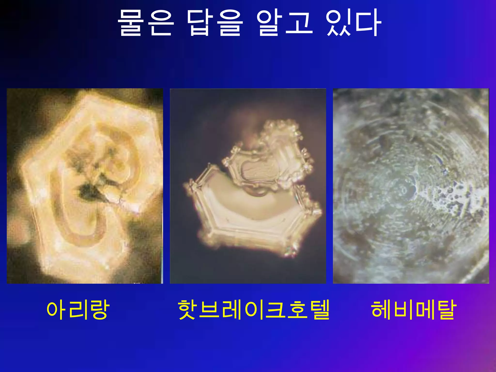 ③ 개인의 역량을 키워라 자기계발에  전략적으로  투자하라 자기계발 프로세스 모든 비즈니스맨은 강사가 되어야 한다 