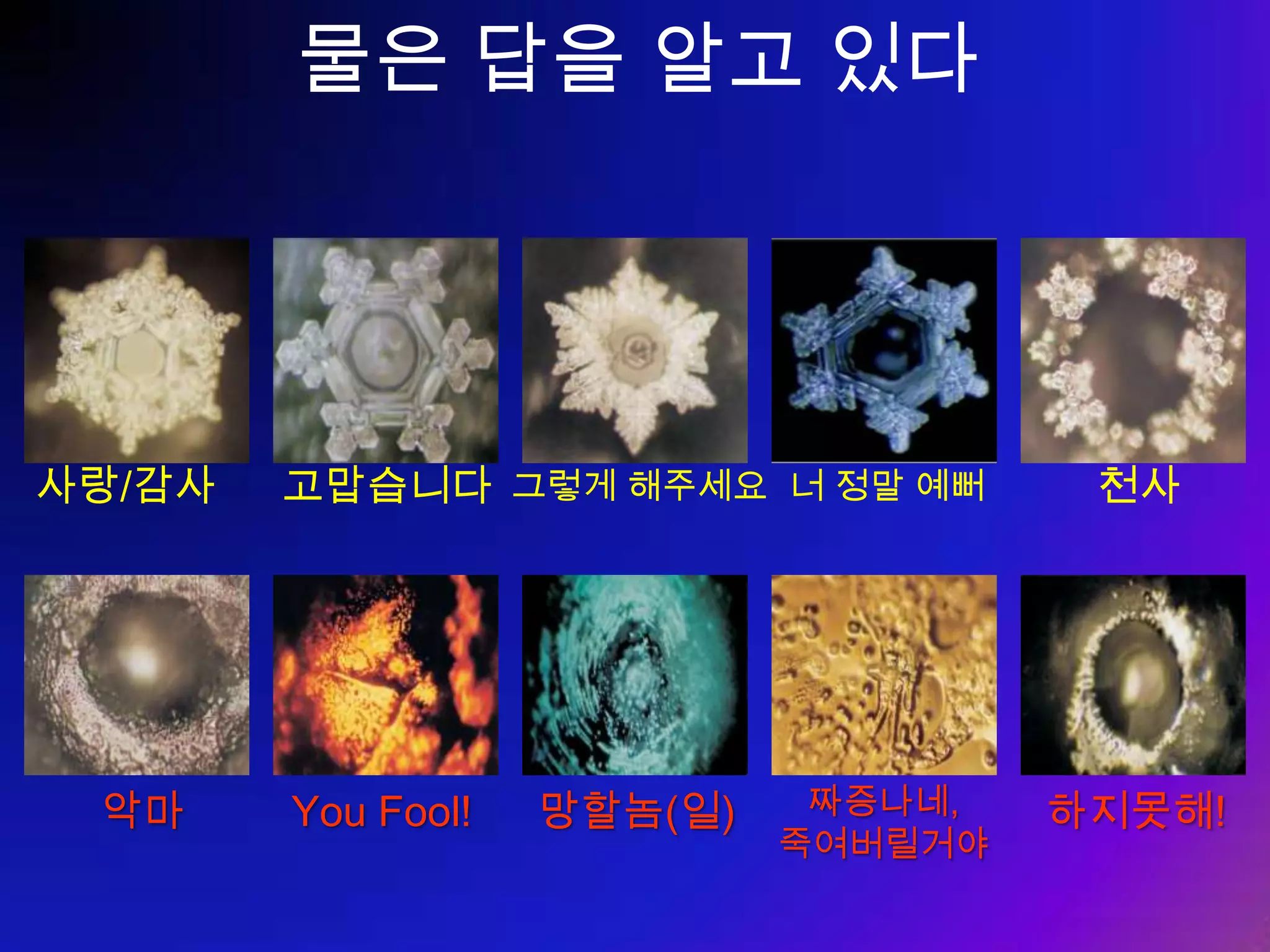 Better Me! 서울대 소비 트렌드 분석센터 - 2009 년의 소비 트렌드  10  (BIG CASH COW) Better Me!  ( 스펙을 높여라 ) -  불황에도  e- 러닝 / 학습기기 시장 호황 예상 -  더 나은 나 를 위한 자기계발 및 스터디 열풍 -  위기 속의 기회를 준비하기 위해 새로운 지식을   따라가지 못하면 경쟁에서 도태된다 -  대체 노동력은 넘쳐나지만 ,  고급인력은 수요를   따라가지 못하고 있음 튜터십 세대  (Tutorship Generation) -  무엇이든 지도 받아서 해결하려는 젊은 세대 -  입시 / 고시학원에 친숙하고 , 1 대 1  영어회화 튜터 ,   헬스 트레이너 ,  이미지 컨설턴트 ,  재테크 전문가   두는 것을 당연시 여김 