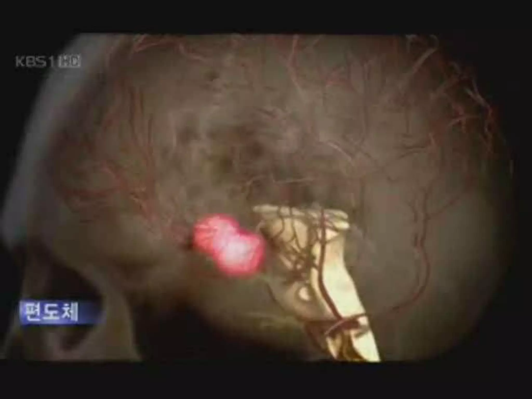 leetaewon.kr [email_address] 010-3717-1216 