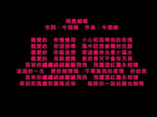 兩隻蝴蝶  作詞：牛朝陽　作曲：牛朝陽 親愛的　你慢慢飛　小心前面帶刺的玫瑰 親愛的　你張張嘴　風中話想會讓你沈醉 親愛的　你跟我飛　穿過叢林去看小溪水 親愛的　來跳個舞　愛的春天不會有天黑 我和你纏纏綿綿翩翩飛飛　飛躍這紅塵永相隨 追逐你一生　愛你無情悔　不辜負我的柔情　你的美 我和你纏纏綿綿翩翩飛飛　飛躍這紅塵永相隨 等到秋風盡秋葉落成堆　　能陪你一起枯萎也無悔 