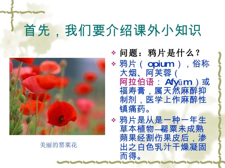 学生演示文稿 学生演示文稿