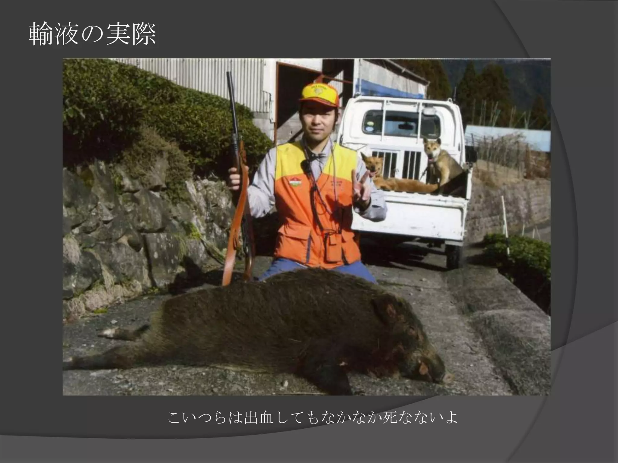 輸液の実際　　こいつらは出血してもなかなか死なないよ