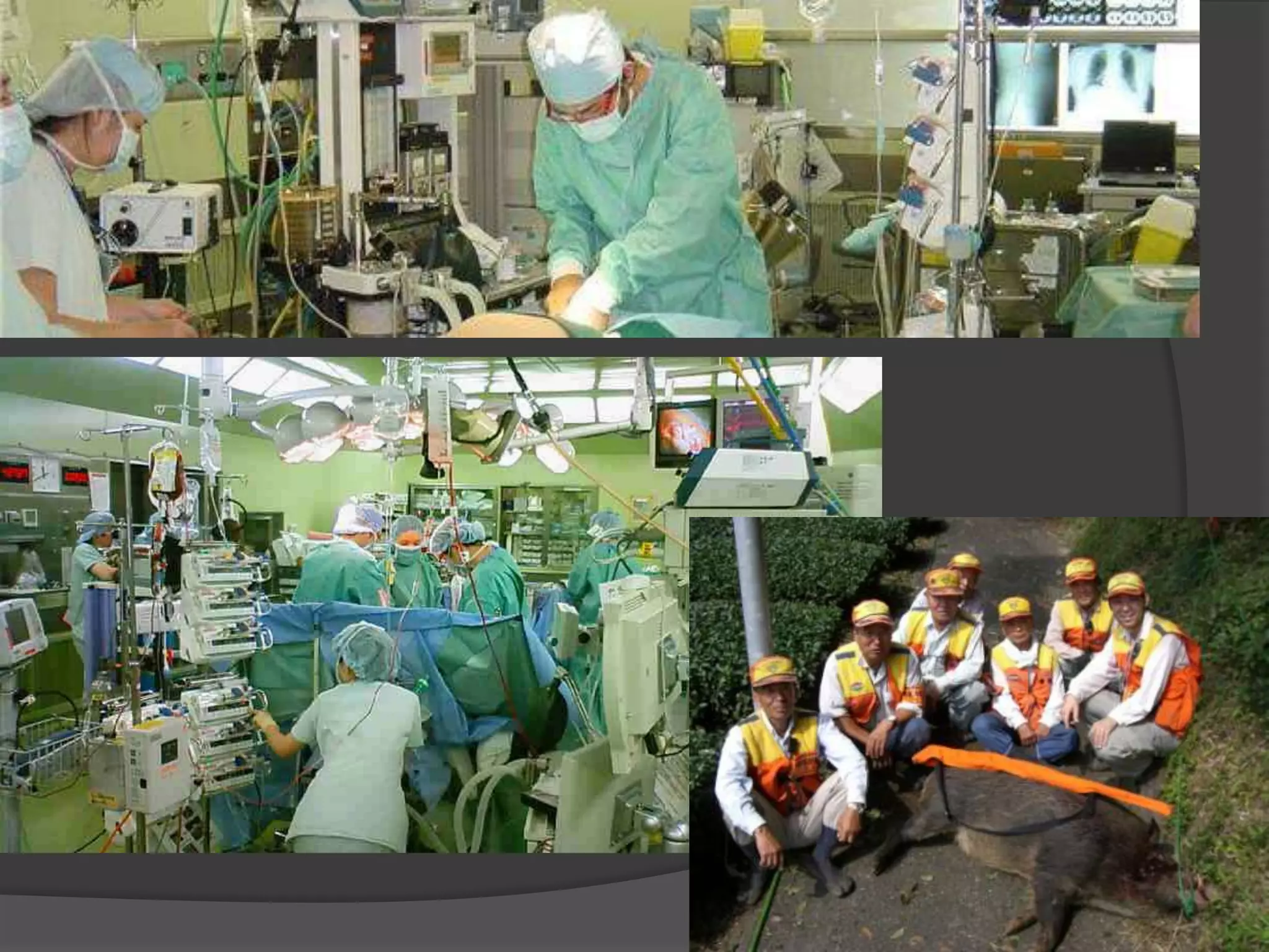 私の考える輸液療法