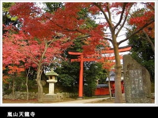嵐山天龍寺 