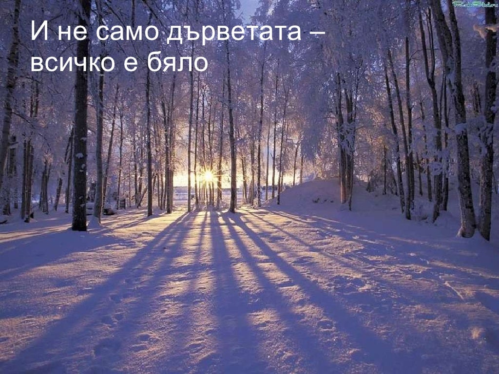 зимен пейзаж