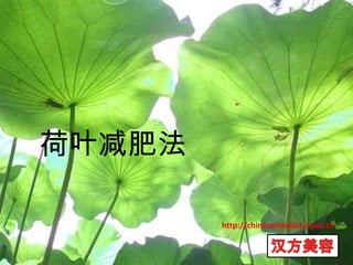 荷叶减肥法 http://chinesemedicine.yo2.cn 汉方美容 