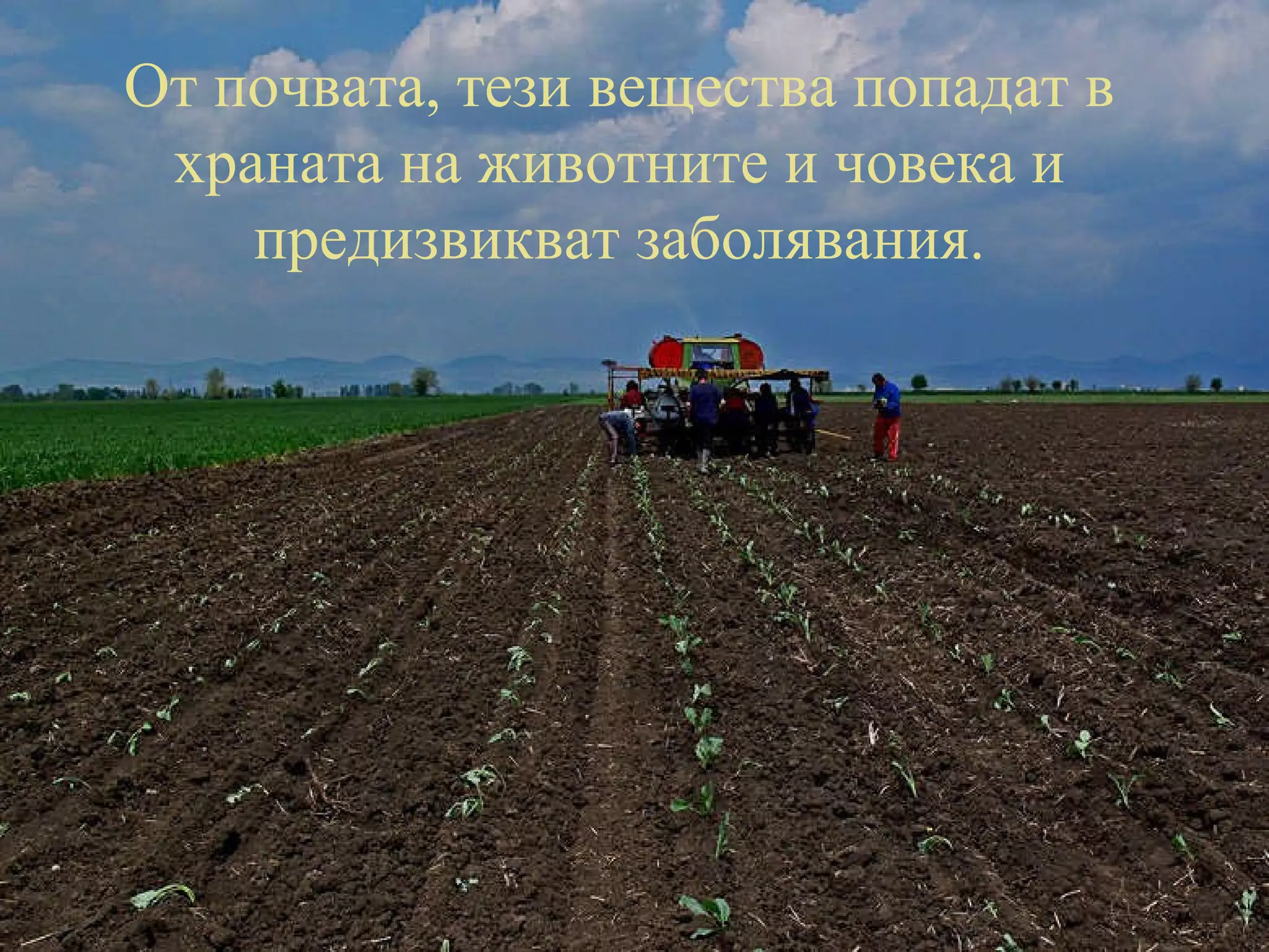 От почвата, тези вещества попадат в храната на животните и човека и предизвикват заболявания. 