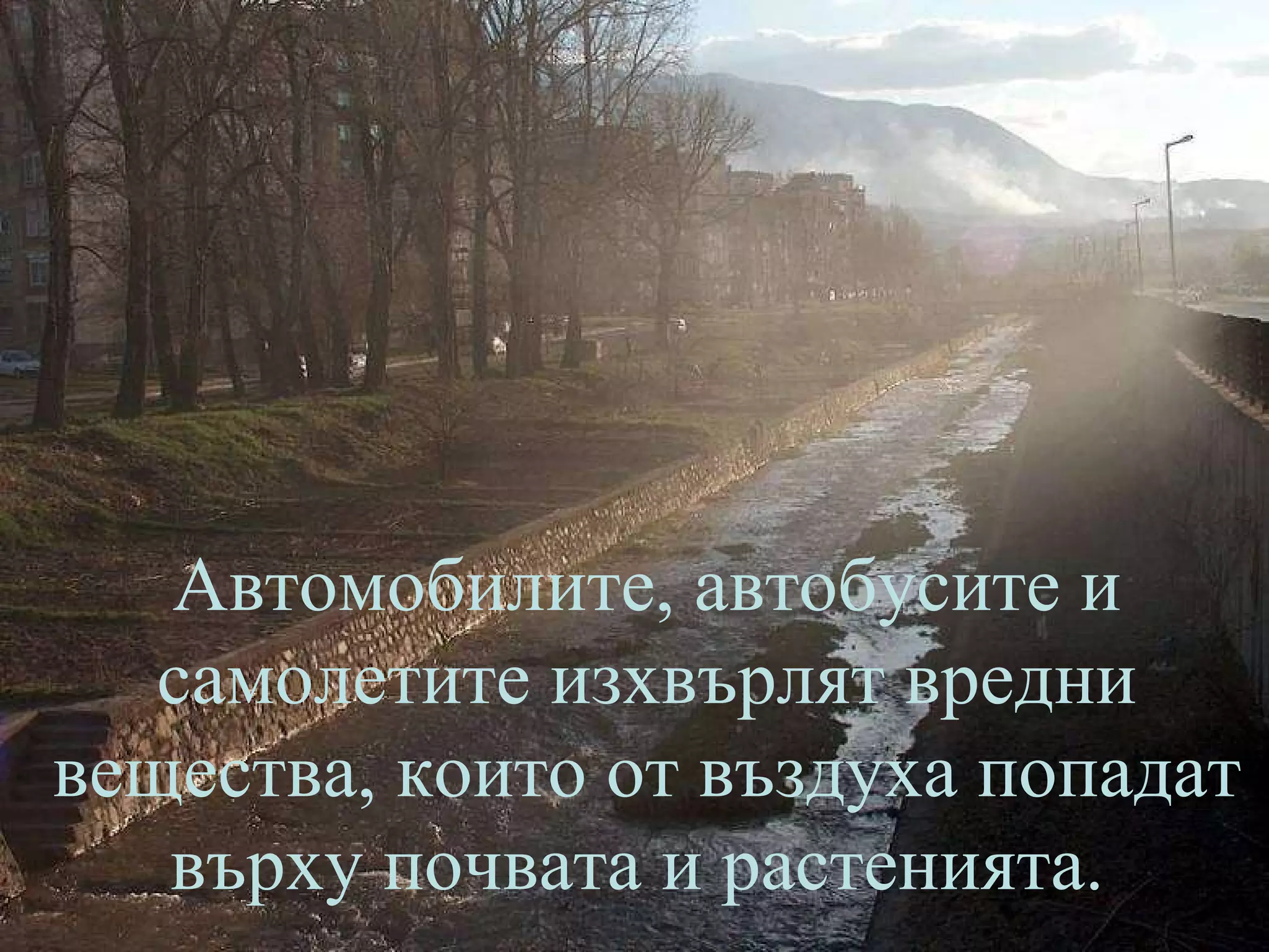 Автомобилите, автобусите и самолетите изхвърлят вредни вещества, които от въздуха попадат върху почвата и растенията.  