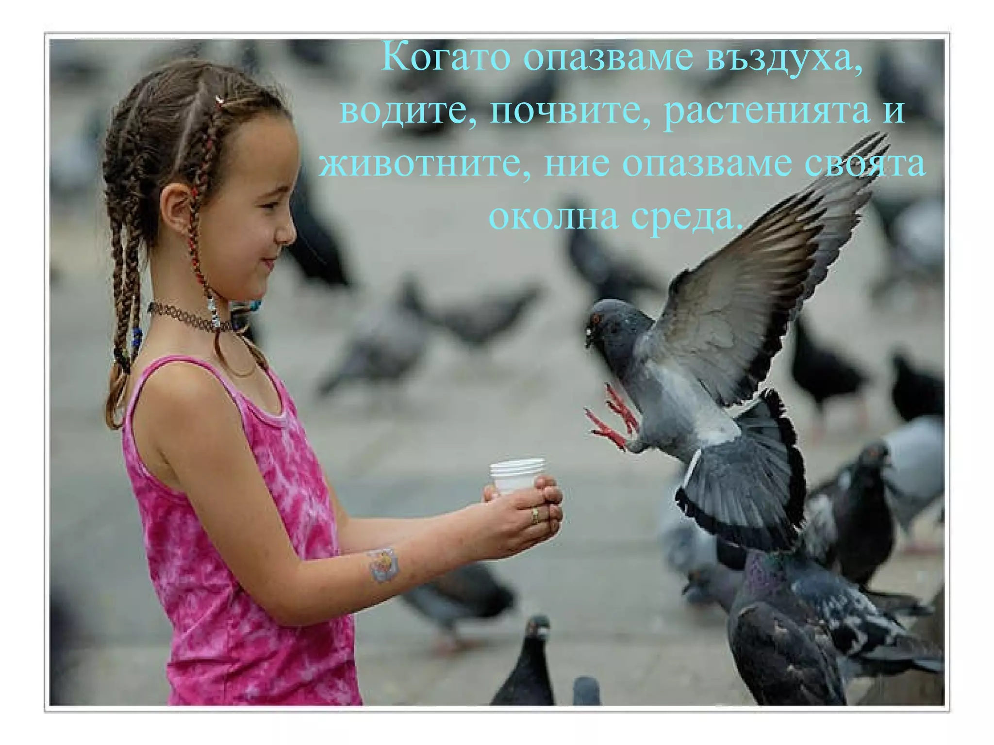 Когато опазваме въздуха, водите, почвите, растенията и животните, ние опазваме своята околна среда.   