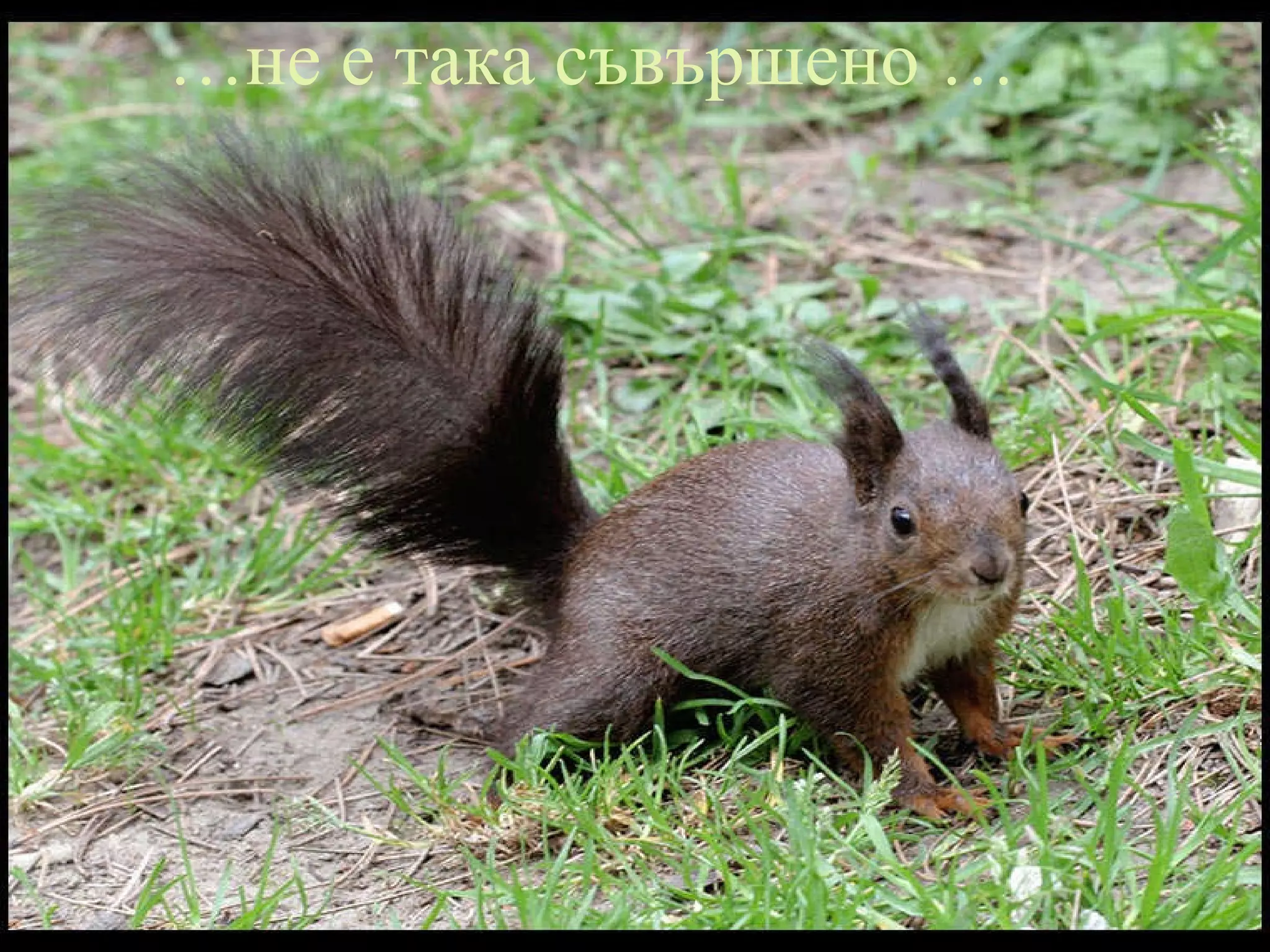 … не е така съвършено … 
