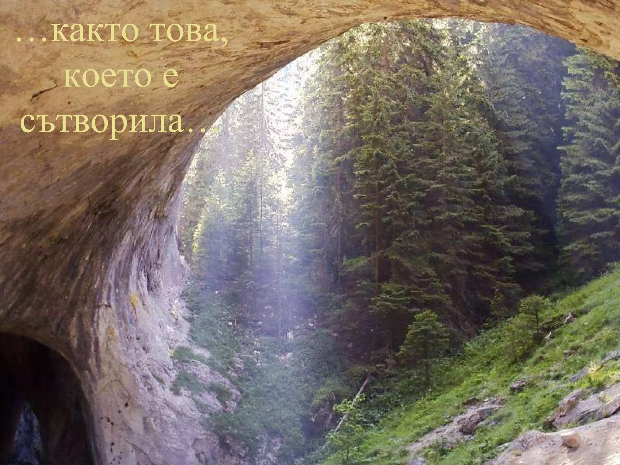 … както това, което е сътворила… 