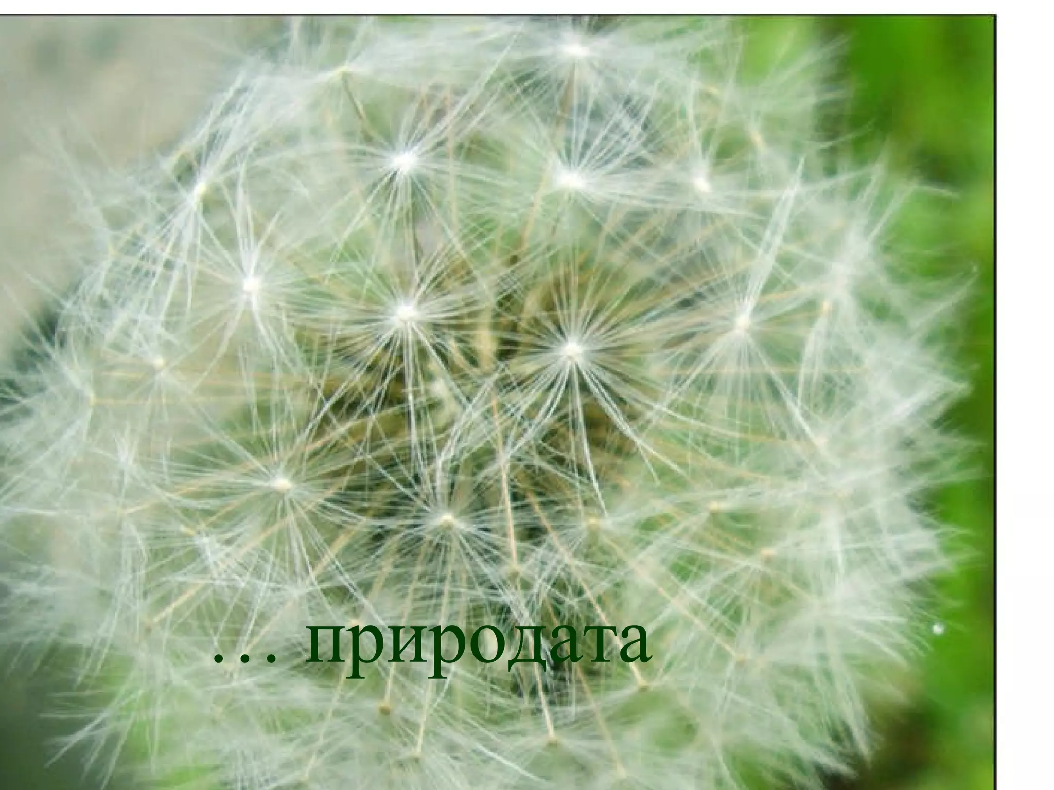 …  природата 