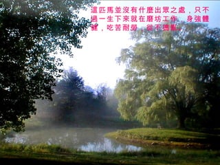 這匹馬並沒有什麼出眾之處，只不過一生下來就在磨坊工作，身強體健，吃苦耐勞，從不搗亂。 