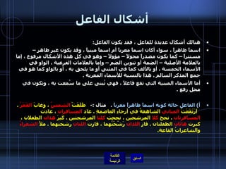 أشكال الفاعل هنالك أشكال عديدة للفاعل ، فقد يكون الفاعل : اسماً ظاهراً ، سواء أكان اسماً معرباً أم اسماً مبنياً ، وقد يكون غير ظاهر – مستتراً – كما يكون مصدراً محولاً – مؤولاً – وهو في كل هذه الأشكال مرفوع ، إما بالعلامة الأصلية – الضمة أو تنوين الضم – وإما بالعلامات الفرعية ، الواو في الأسماء الخمسة ، أو بالألف كما في المثنى أو ما يلحق به ، أو بالواو كما هو في جمع المذكر السالم  .  هذا بالنسبة للأسماء المعربة  .      أما الأسماء المبنية التي تقع فاعلاً ، فهي تُبنى على ما سُمعت به ، وتكون في محل رفع  . أ )  الفاعل حالة كونه اسماً ظاهراً معرباً   .    مثال  :-    طَلَعَتْ  الشمسُ  ، وغابَ  القَمَرُ   .    اَرَتَفَعَتْ  المباني  الشاهقةُ في أرجاءِ العاصمةِ  .  عاد  المسافران  ، عادت  المسافرتان   .  نجح  كلا  المرشحين ، نجحت  كلتا  المرشحتين  .  كَبِرَ  هذان  الطفلان ، كبرت  هاتان  الطفلتان  .  فاز  اللذان  رَشّحْتُهما ، فازت  اللتان  رشحتهما  .  ملأَ  الشعراءُ  والشاعراتُ القاعة .    