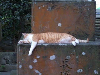 ä