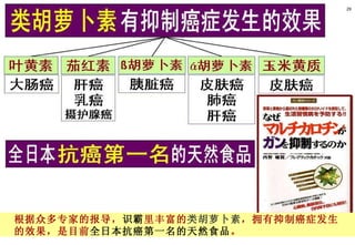 根据众多专家的报导， 识霸 里丰富的 类胡萝卜素 ，拥有抑制癌症发生 的效果，是目前 全日本抗癌第一名的天然食品 。 29 