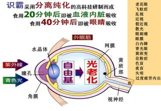 老花眼 飞蚊症 乱视  近视 假近视 散光 眼刺痛 眼膜 白内障 青光眼 黄班变 花粉症 色盲 夜盲  失明 过度疲劳内出血 瞳孔 角膜 网膜 视神经 黄 班 部 水晶体 