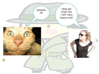 טוב,עכשיו העד הקרוב ביותר ליאיר-פריץ החתול!! מיאווווווווו !!!! 
