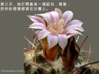 Neowerdermannia vorwerkii 第三天，他打開最後一個紙包，寫著： 把你的煩惱都寫在沙灘上。  
