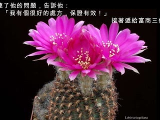Lobivia tiegeliana 醫生聽了他的問題，告訴他： 「我有個很好的處方，保證有效！」 接著遞給富商三個紙包。   