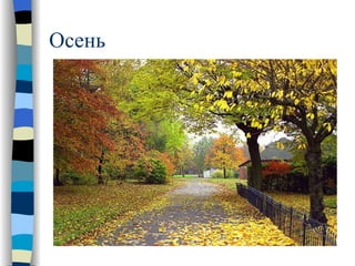Осень 