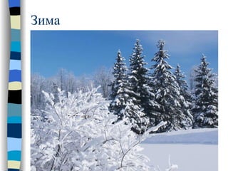 Зима 