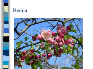 Весна 