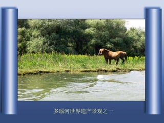 多瑙河世界遗产景观之一 