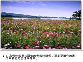 1. 為何吐氣得花兩倍的吸氣時間呢？那是要讓你的淋巴系統能充份排除毒素。  