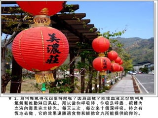 2. 為何彆氣得花四倍時間呢？因為這樣才能使血液充份地利用氧氣和推動淋巴系統。所以當你呼吸時，你吸足呼盡，把體內血液內毒素完全排光。每天三次，每次來十個深呼吸。持之有恆地去做，它的效果遠勝過食物和維他命丸所能提供給你的。 