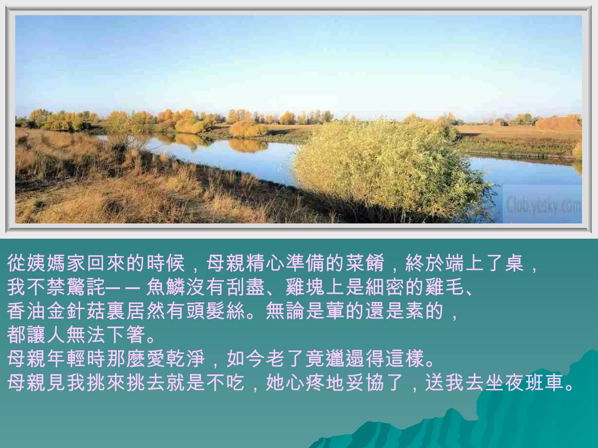 從姨媽家回來的時候，母親精心準備的菜餚，終於端上了桌， 我不禁驚詫──魚鱗沒有刮盡、雞塊上是細密的雞毛、 香油金針菇裏居然有頭髮絲。無論是葷的還是素的， 都讓人無法下箸。 母親年輕時那麼愛乾淨，如今老了竟邋遢得這樣。 母親見我挑來挑去就是不吃，她心疼地妥協了，送我去坐夜班車。  