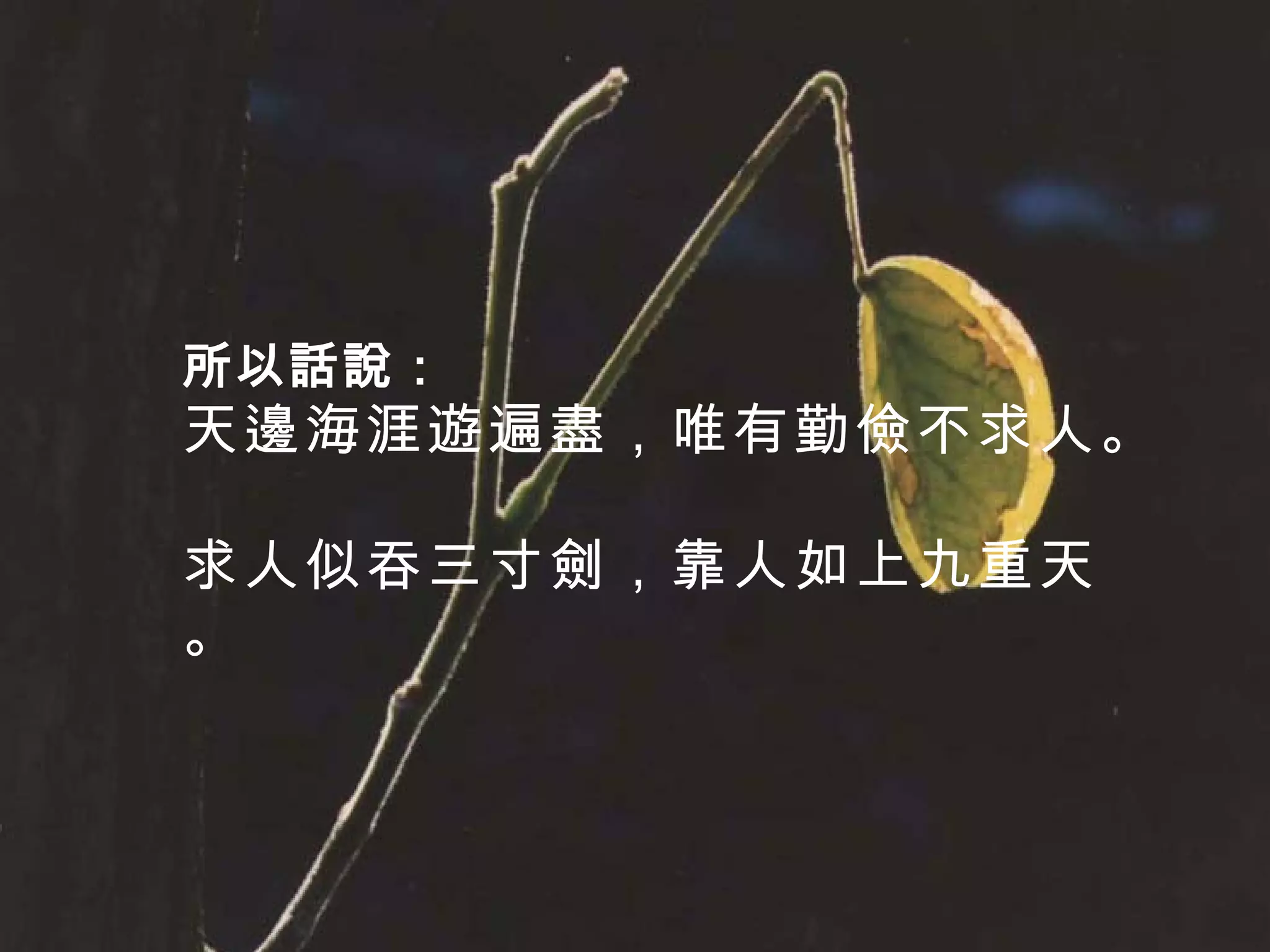 所以話說： 天邊海涯遊遍盡，唯有勤儉不求人。 求人似吞三寸劍，靠人如上九重天。 