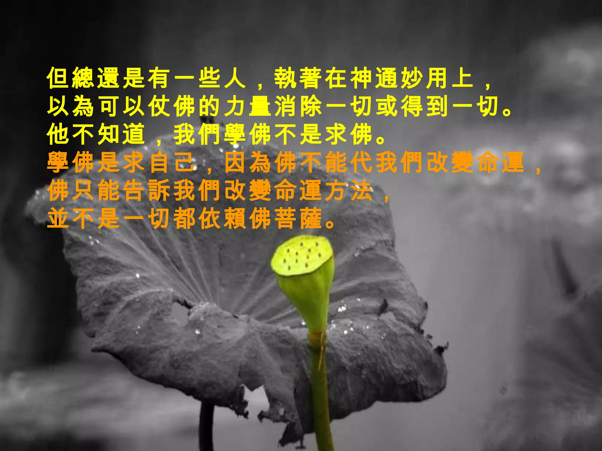 但總還是有一些人，執著在神通妙用上， 以為可以仗佛的力量消除一切或得到一切。 他不知道，我們學佛不是求佛。 學佛是求自己，因為佛不能代我們改變命運， 佛只能告訴我們改變命運方法， 並不是一切都依賴佛菩薩。   