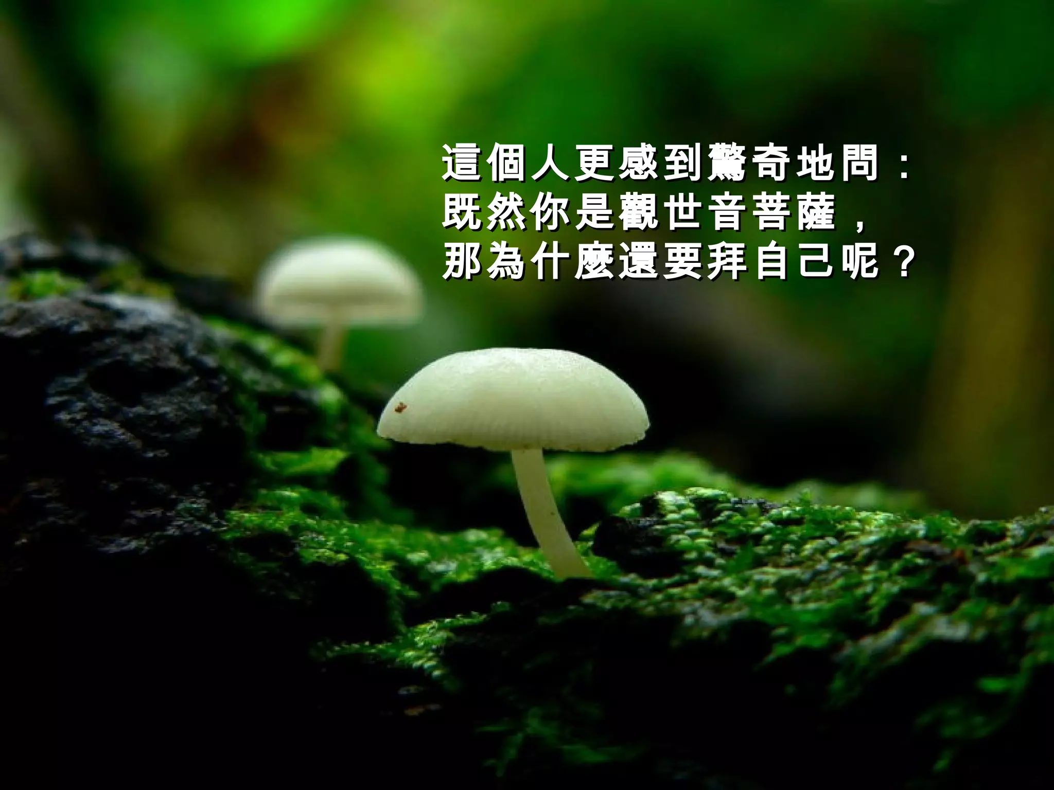 這個人更感到驚奇地問： 既然你是觀世音菩薩， 那為什麼還要拜自己呢？ 