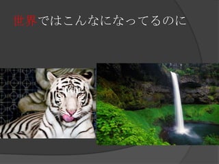 世界ではこんなになってるのに