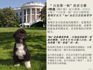 據德國 《 圖片報 》 22 日報導，白宮已公佈了“白宮第一狗”的官方標準照， 葡萄牙水犬“ Bo ” 站在白宮的南草坪上。 “ 白宮第一狗”的官方標準照 葡萄牙水犬原產地為葡萄牙，是葡萄牙阿爾加維地區漁民飼養的品種，是優秀的游泳者和潛水者，具有特殊的才幹和毅力。 因為奧巴馬的大女兒馬莉婭有過敏症，而葡萄牙水獵犬是一種不易引起過敏的狗。 “ Bo ” 是參議員特德   - 甘迺迪送給第一家庭的禮物，它於 4 月 13 日進入白宮，成為美國“第一家庭”的一員。 這只狗年紀雖小，但在出生後不久就受到馴狗師的良好訓練。據稱，這只狗很懂事，從不隨地大小便，也不用傢俱“磨牙”，而且很容易與小孩相處。 